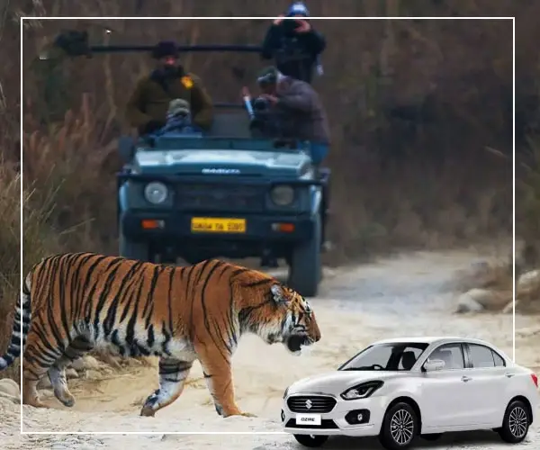 Agra to Jim Corbett cab- comfortable and seamless transportation